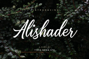 Alishader: A Stylish Calligraphy Font
