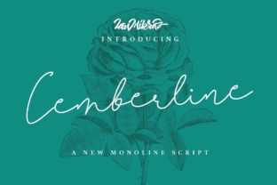 Cemberline: A Flowy Script Typeface