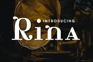 Rina: A Vintage Serif Font for Crafters