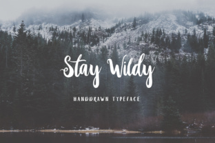 Stay Wildy Font Review